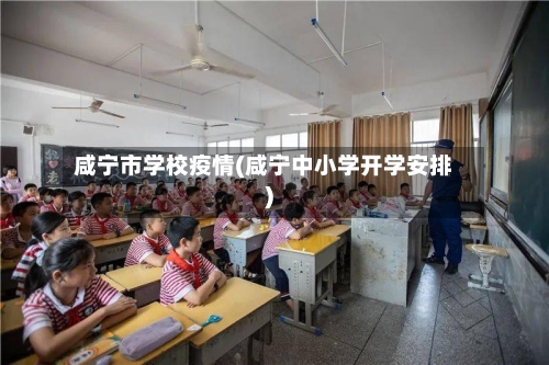 咸宁市学校疫情(咸宁中小学开学安排)-第2张图片