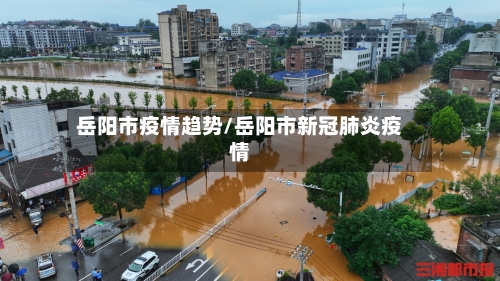 岳阳市疫情趋势/岳阳市新冠肺炎疫情