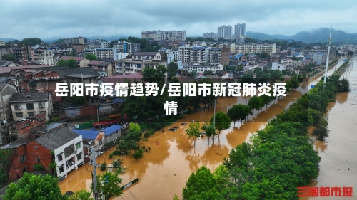 岳阳市疫情趋势/岳阳市新冠肺炎疫情-第2张图片