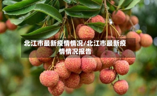 北江市最新疫情情况/北江市最新疫情情况报告-第2张图片