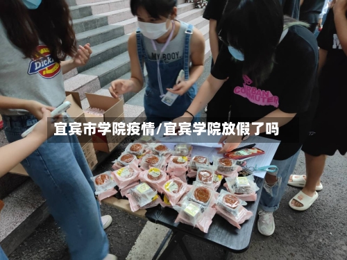 宜宾市学院疫情/宜宾学院放假了吗-第2张图片