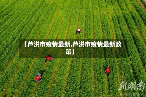 【芦洪市疫情最新,芦洪市疫情最新政策】-第3张图片