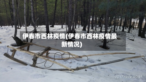 伊春市西林疫情(伊春市西林疫情最新情况)