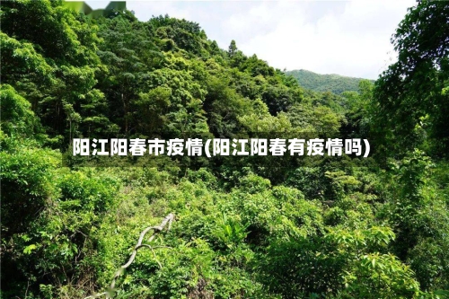阳江阳春市疫情(阳江阳春有疫情吗)-第2张图片