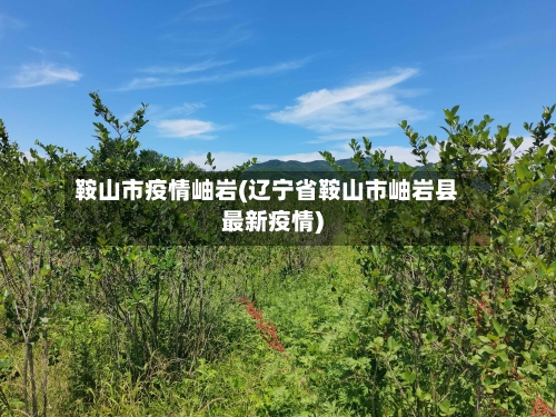 鞍山市疫情岫岩(辽宁省鞍山市岫岩县最新疫情)-第2张图片