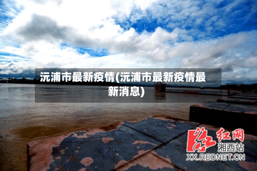 沅浦市最新疫情(沅浦市最新疫情最新消息)