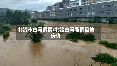 北流市白马疫情/北流白马新楼盘的房价-第2张图片