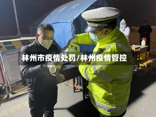 林州市疫情处罚/林州疫情管控-第2张图片