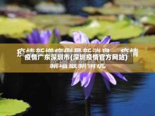 疫情广东深圳市(深圳疫情官方网站)