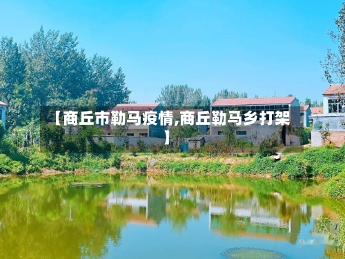 【商丘市勒马疫情,商丘勒马乡打架】