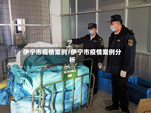 伊宁市疫情案例/伊宁市疫情案例分析