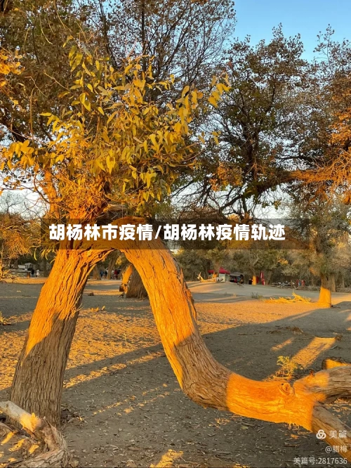 胡杨林市疫情/胡杨林疫情轨迹-第2张图片