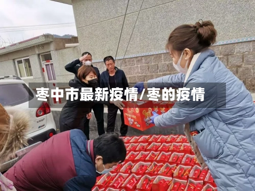 枣中市最新疫情/枣的疫情-第2张图片