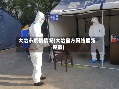 大冶市疫情情况(大冶官方网站最新疫情)-第2张图片