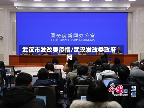 武汉市发改委疫情/武汉发改委政府网-第3张图片
