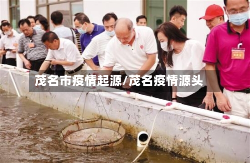 茂名市疫情起源/茂名疫情源头