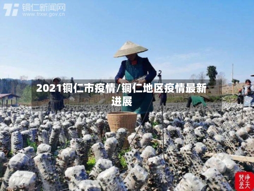 2021铜仁市疫情/铜仁地区疫情最新进展-第2张图片