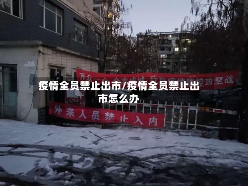 疫情全员禁止出市/疫情全员禁止出市怎么办-第2张图片