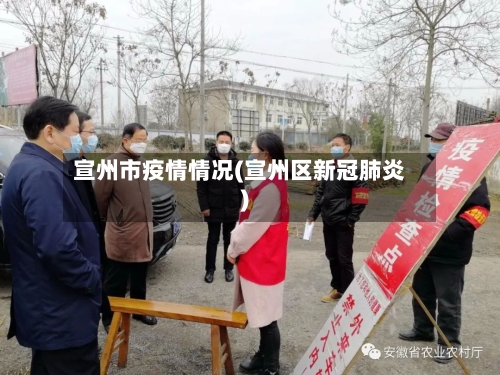 宣州市疫情情况(宣州区新冠肺炎)
