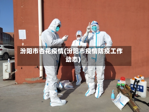 汾阳市杏花疫情(汾阳市疫情防疫工作动态)-第2张图片