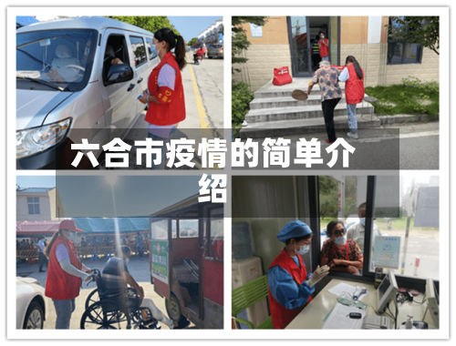 六合市疫情的简单介绍