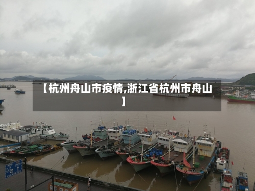 【杭州舟山市疫情,浙江省杭州市舟山】