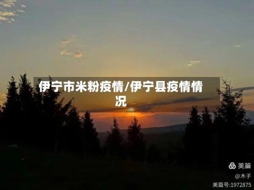 伊宁市米粉疫情/伊宁县疫情情况-第2张图片