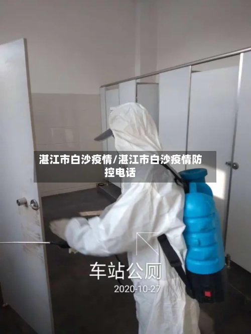 湛江市白沙疫情/湛江市白沙疫情防控电话-第3张图片