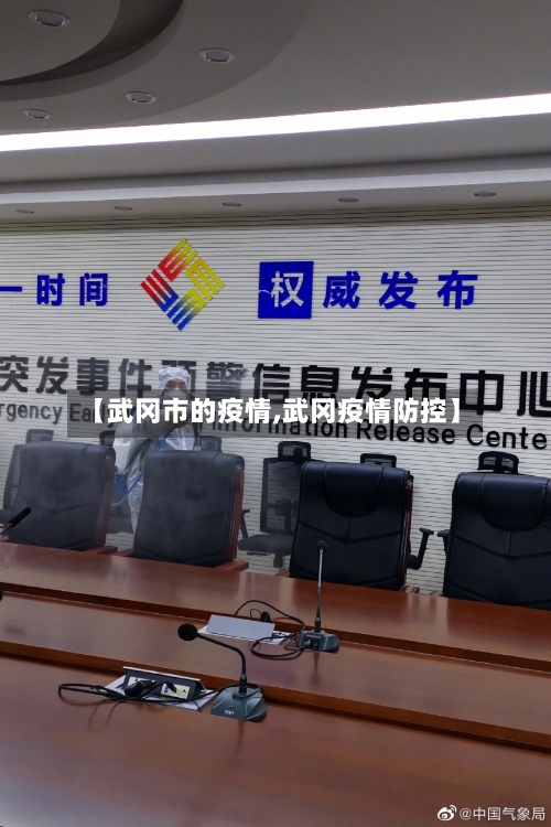 【武冈市的疫情,武冈疫情防控】