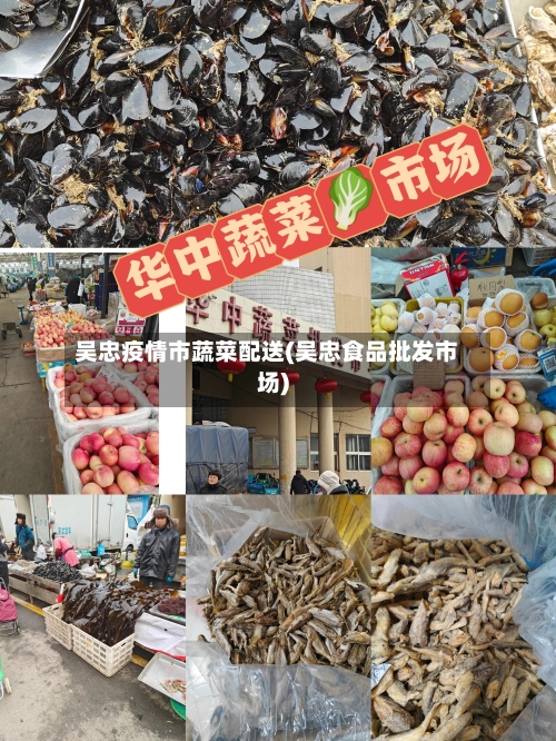 吴忠疫情市蔬菜配送(吴忠食品批发市场)