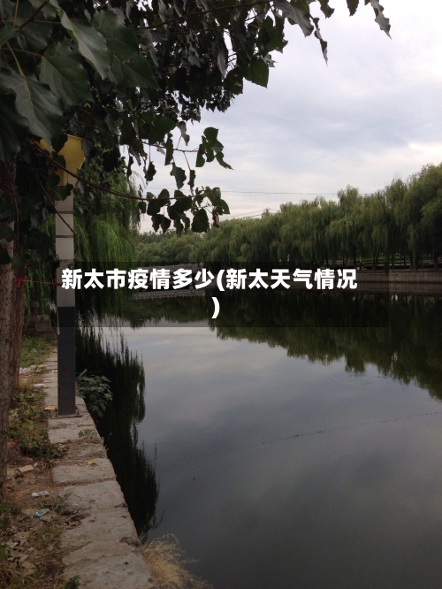 新太市疫情多少(新太天气情况)-第2张图片