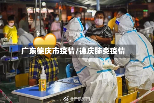 广东德庆市疫情/德庆肺炎疫情-第3张图片