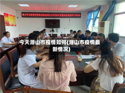 今天潜山市疫情如何(潜山市疫情最新情况)-第2张图片