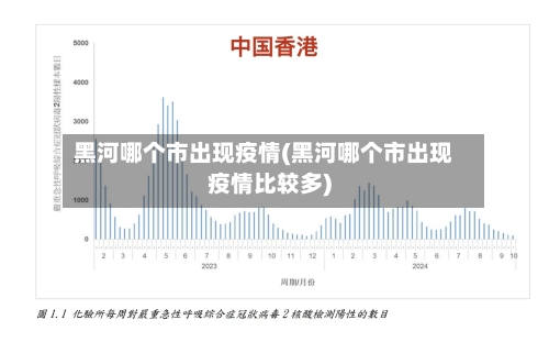 黑河哪个市出现疫情(黑河哪个市出现疫情比较多)