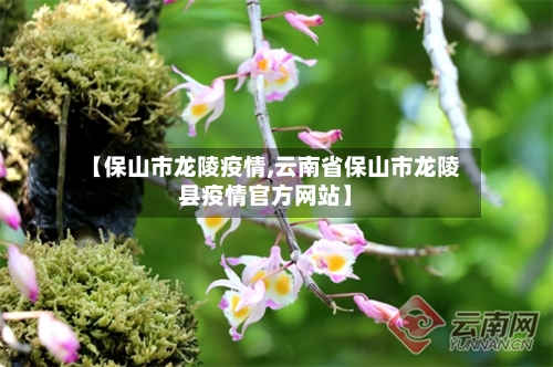 【保山市龙陵疫情,云南省保山市龙陵县疫情官方网站】-第3张图片