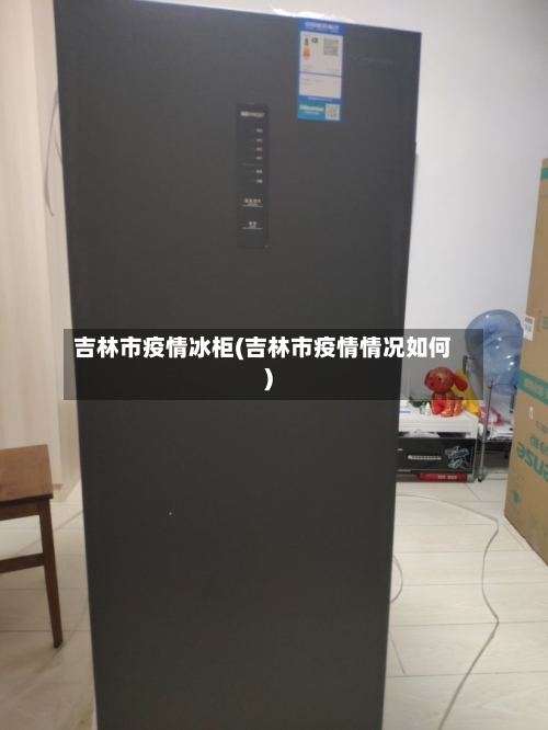 吉林市疫情冰柜(吉林市疫情情况如何)
