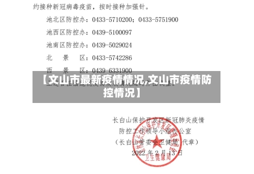 【文山市最新疫情情况,文山市疫情防控情况】-第2张图片