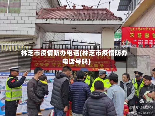 林芝市疫情防办电话(林芝市疫情防办电话号码)