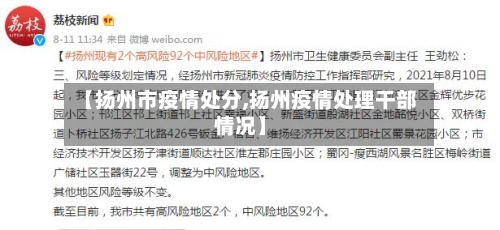 【扬州市疫情处分,扬州疫情处理干部情况】