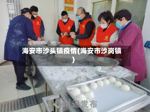 海安市沙头镇疫情(海安市沙岗镇)