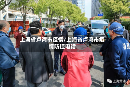 上海省卢湾市疫情/上海省卢湾市疫情防控电话