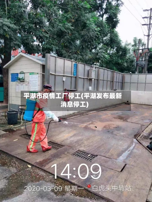 平湖市疫情工厂停工(平湖发布最新消息停工)-第3张图片