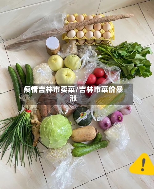 疫情吉林市卖菜/吉林市菜价暴涨