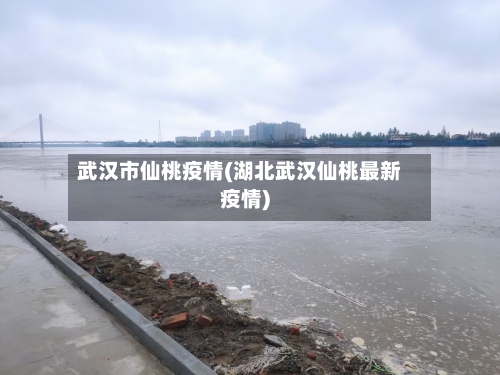 武汉市仙桃疫情(湖北武汉仙桃最新疫情)-第2张图片