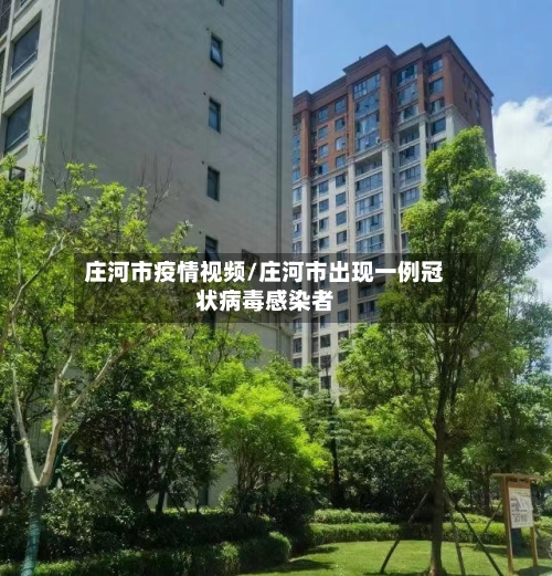 庄河市疫情视频/庄河市出现一例冠状病毒感染者-第2张图片