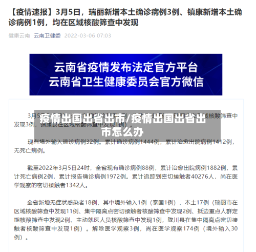 疫情出国出省出市/疫情出国出省出市怎么办-第2张图片