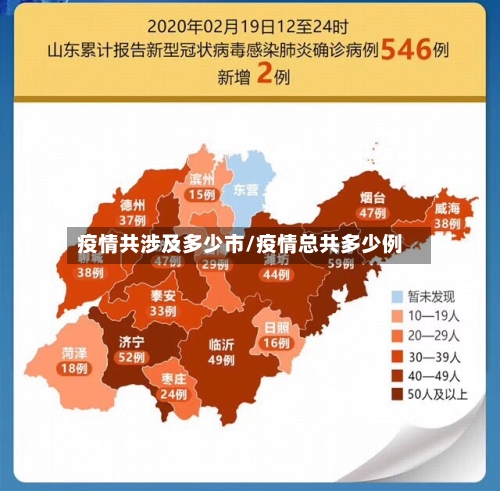 疫情共涉及多少市/疫情总共多少例