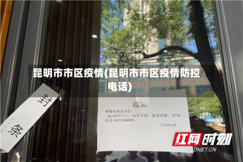 昆明市市区疫情(昆明市市区疫情防控电话)-第2张图片
