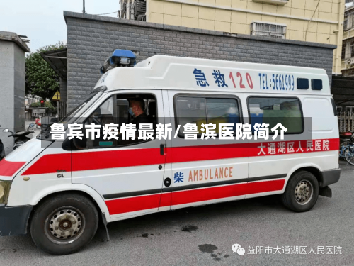 鲁宾市疫情最新/鲁滨医院简介-第3张图片