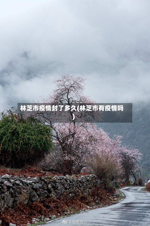 林芝市疫情封了多久(林芝市有疫情吗)
